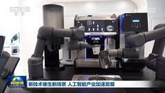 大到通过数字孪对全岛进行可视化办理 