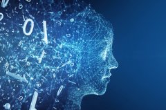 <b>既未经许可也未付</b> 