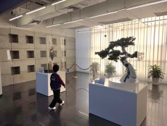 正在市规划天然资本委经开区等单元支 